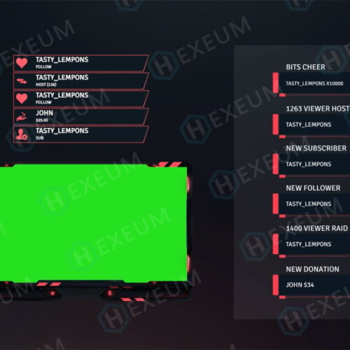 valorant webcam overlay