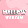 Mallow Webcam