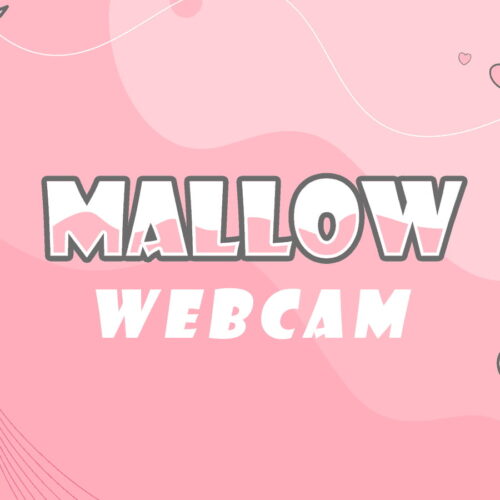 Mallow Webcam