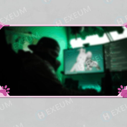 cat webcam overlay