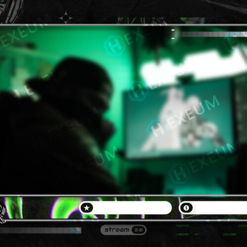 Neon Webcam Overlay