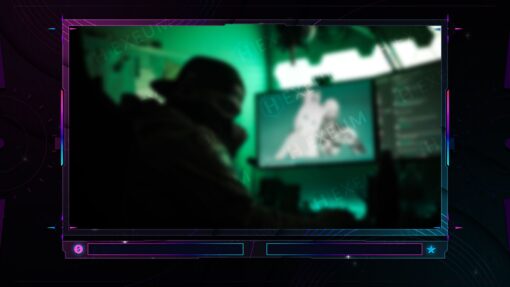 Neon Webcam Overlay