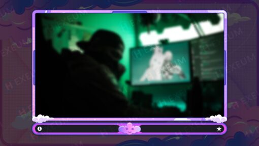 Cute Webcam Overlay